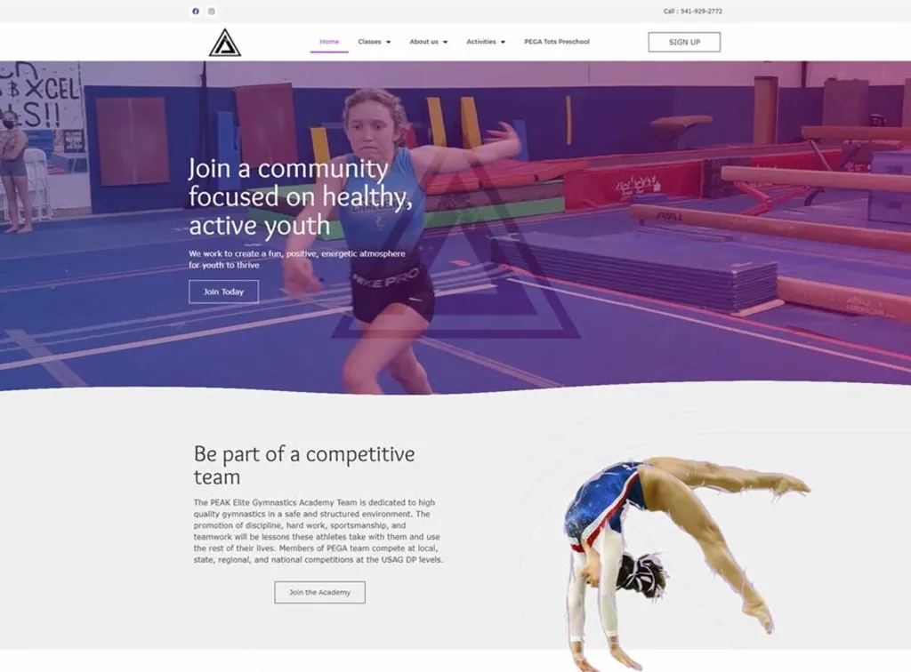 PEAK Elite Gymnastics website